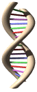 DNA-01